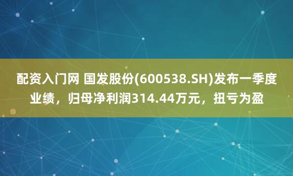 配资入门网 国发股份(600538.SH)发布一季度业绩，归母净利润314.44万元，扭亏为盈